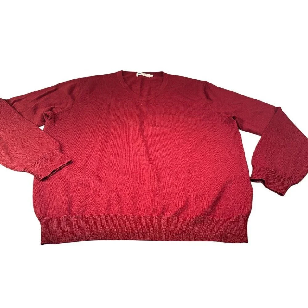 J Crew Extra Sweater Mens Fine Merino Wool V Neck Long Sleeves Ribbed Hem Cuffs